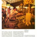 1984-ladefensadelconsumidor(2)-librodelanaturaleza-elpais