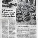 1991-10-29-plomocaza-planetatierraelindependiente 1991-10-29-plomocaza-planetatierraelindependiente