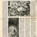 1994-12-29-otrosresiduos-biosferadiario16(1)