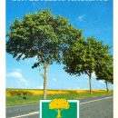 1998(c)peugeotelectricos(1)