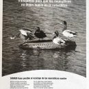 2006-11-17-signus-elpais