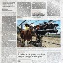 2010-08-04-lechevacasclonadas