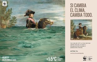 2019-campagnawwfmuseodelpradoºcoma5gradoslocambiatodo