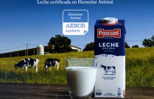 2020-marzo-bienestaranimalpascual-compromisorse