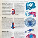 sf-sonutileslospequenoselectrodomesticos